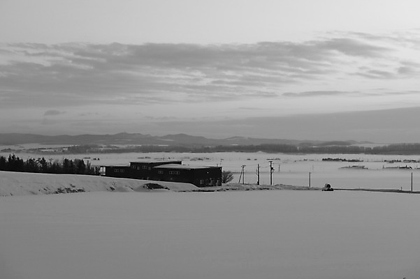 포토 JPG 주간 나무 식물 구름 해외기획촬영 계절 설경 겨울 2010년일본 자연 하늘 흑백 풍경 사람없음 야외 건물 설원 일본 눈 홋카이도 전봇대 국내포토 자연요소 건축물 공공시설 아시아 날씨 눈_날씨 촬영기법 생태계 파일형식