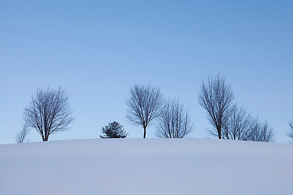포토 JPG 주간 나무 식물 해외기획촬영 계절 설경 겨울 2010년일본 자연 하늘 풍경 사람없음 야외 설원 일본 눈 언덕 홋카이도 국내포토 자연요소 아시아 날씨 눈_날씨 생태계 파일형식