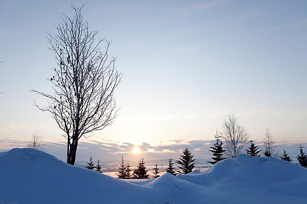 포토 JPG 주간 나무 식물 구름 해외기획촬영 계절 설경 겨울 2010년일본 자연 하늘 풍경 사람없음 야외 태양 일출 설원 일본 눈 홋카이도 국내포토 자연요소 아시아 날씨 눈_날씨 노을 생태계 파일형식