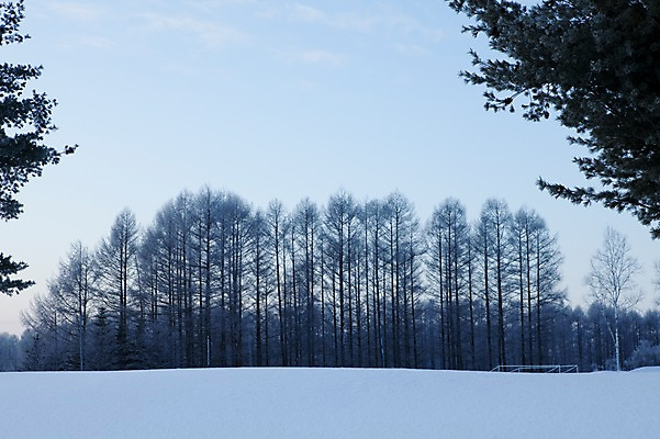 포토 JPG 주간 나무 식물 구름 해외기획촬영 계절 설경 겨울 2010년일본 자연 하늘 풍경 사람없음 야외 설원 일본 눈 숲 홋카이도 국내포토 자연요소 아시아 날씨 눈_날씨 생태계 파일형식