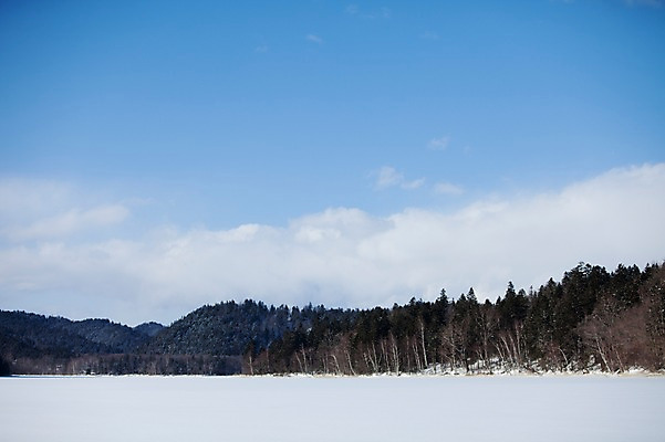 포토 JPG 주간 나무 식물 구름 해외기획촬영 계절 설경 겨울 2010년일본 자연 하늘 산 풍경 사람없음 야외 설원 일본 눈 숲 홋카이도 국내포토 자연요소 아시아 날씨 눈_날씨 생태계 파일형식