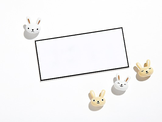 포토 JPG 스튜디오촬영 종이 새해 실내 누끼 사람없음 장식 토끼띠 토끼 오브젝트 반려 국내포토 포유류 내부 반려동물 십이지신 파일형식