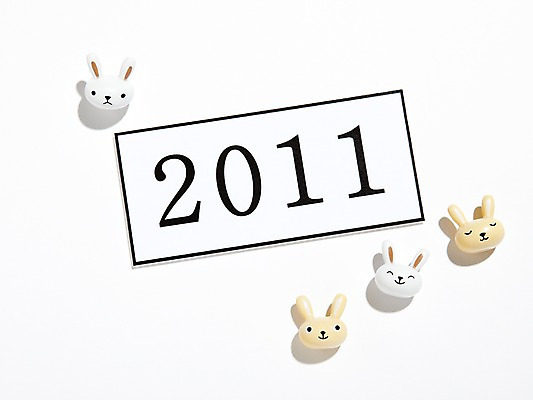 포토 JPG 스튜디오촬영 새해 실내 누끼 사람없음 장식 토끼띠 토끼 오브젝트 2011년 반려 국내포토 포유류 내부 반려동물 십이지신 연도 파일형식