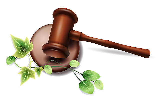 EPS 아이콘 생활용품 잎 입체아이콘 디테일아이콘 사람없음 장식 선택 덩굴 오브젝트 법 생활아이콘 의사봉 재판 판결 법원 정의 정치 제헌절 2D아이콘 식물 컨셉 국경일 입체 파일형식 벡터