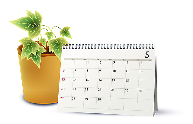 EPS 식물 아이콘 화분 생활용품 입체아이콘 디테일아이콘 사람없음 사무용품 달력 계획 오브젝트 생활아이콘 2D아이콘 컨셉 문구용품 입체 파일형식 벡터