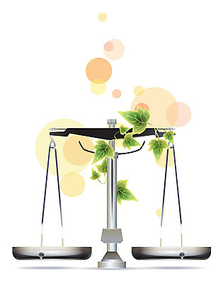 EPS 아이콘 생활용품 잎 입체아이콘 저울 디테일아이콘 사람없음 장식 중앙 무게 덩굴 오브젝트 생활아이콘 양팔저울 정의 천칭저울 2D아이콘 식물 입체 파일형식 벡터