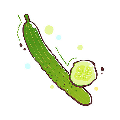 EPS 식물 아이콘 조각 채소 식재료 오이 큐티아이콘 사람없음 슬라이스 식물아이콘 2D아이콘 파일형식 벡터