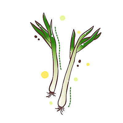 EPS 식물 아이콘 2 채소 식재료 큐티아이콘 사람없음 두개 파 식물아이콘 2D아이콘 파일형식 벡터