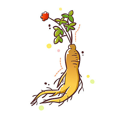 EPS 식물 아이콘 1 채소 식재료 큐티아이콘 사람없음 한개 인삼 식물아이콘 2D아이콘 삼 파일형식 벡터