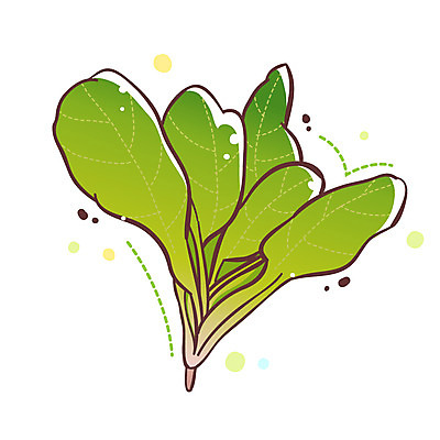 EPS 식물 아이콘 채소 식재료 큐티아이콘 사람없음 시금치 식물아이콘 2D아이콘 파일형식 벡터