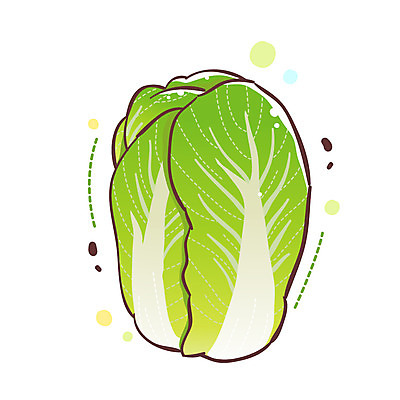 EPS 식물 아이콘 1 채소 식재료 큐티아이콘 사람없음 한개 배추 식물아이콘 한포기 2D아이콘 파일형식 벡터