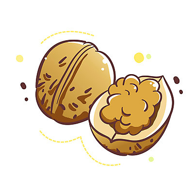 EPS 식물 아이콘 열매 2 큐티아이콘 사람없음 견과류 두개 호두 식물아이콘 2D아이콘 파일형식 벡터