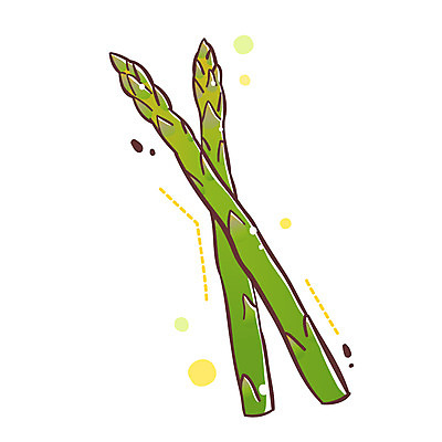 EPS 식물 아이콘 2 채소 식재료 큐티아이콘 사람없음 두개 아스파라거스 식물아이콘 2D아이콘 파일형식 벡터