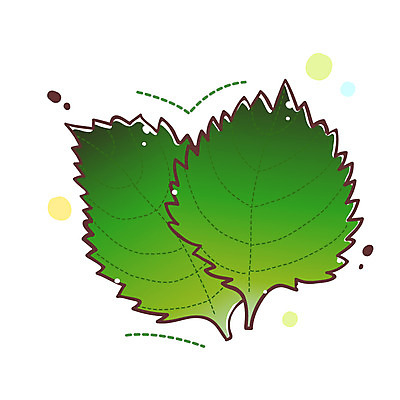 EPS 식물 아이콘 채소 식재료 큐티아이콘 사람없음 깻잎 식물아이콘 두장 2D아이콘 2 파일형식 벡터