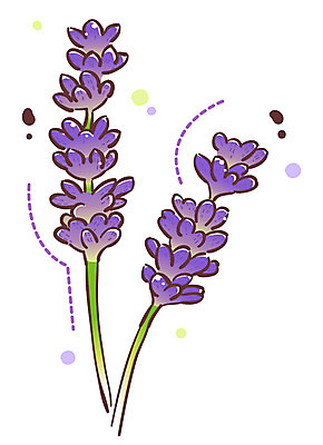 EPS 식물 아이콘 꽃 여러송이 큐티아이콘 사람없음 보라색 식물아이콘 라벤더 2D아이콘 컬러 다수 허브 파일형식 벡터