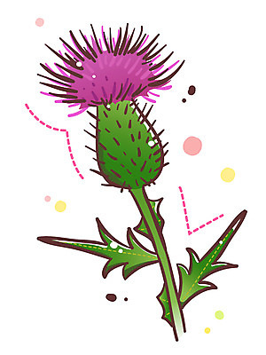 EPS 식물 아이콘 꽃 잎 한송이 큐티아이콘 사람없음 보라색 식물아이콘 엉겅퀴 2D아이콘 1 컬러 송이 파일형식 벡터