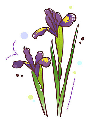 EPS 식물 아이콘 꽃 잎 봄꽃 큐티아이콘 사람없음 보라색 두송이 아이리스 붓꽃 식물아이콘 2D아이콘 컬러 2 봄 파일형식 벡터