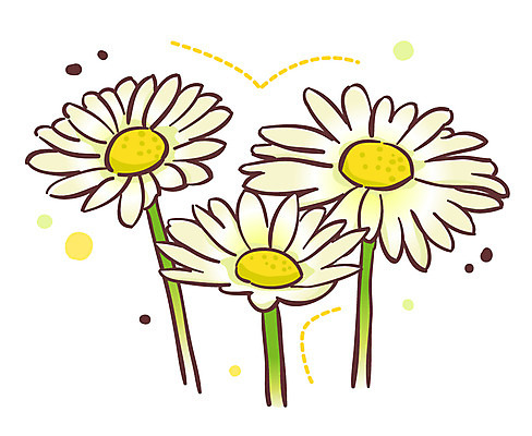 EPS 식물 아이콘 꽃 여름꽃 큐티아이콘 사람없음 흰색 데이지 세송이 식물아이콘 2D아이콘 컬러 3 파일형식 벡터 여름_계절