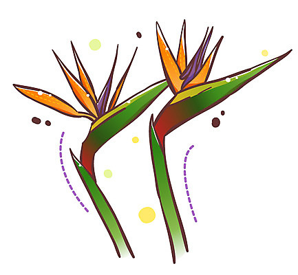 EPS 식물 아이콘 꽃 잎 큐티아이콘 사람없음 주황색 두송이 식물아이콘 극락조화 2D아이콘 컬러 2 파일형식 벡터