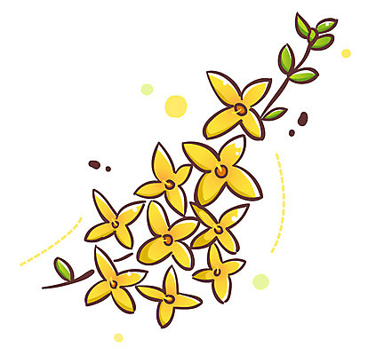 EPS 식물 아이콘 꽃 여러송이 잎 봄꽃 큐티아이콘 사람없음 노란색 개나리 식물아이콘 2D아이콘 컬러 다수 봄 파일형식 벡터