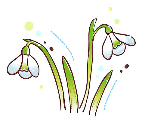 EPS 식물 아이콘 꽃 잎 큐티아이콘 사람없음 흰색 두송이 겨울꽃 식물아이콘 스노드롭 스노우드롭 2D아이콘 컬러 2 겨울 파일형식 벡터