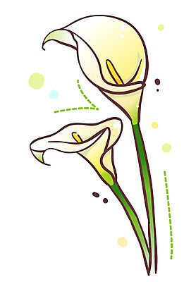 EPS 식물 아이콘 꽃 여름꽃 큐티아이콘 사람없음 흰색 두송이 카라 식물아이콘 2D아이콘 컬러 2 파일형식 벡터 여름_계절