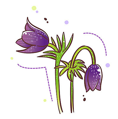 EPS 식물 아이콘 꽃 봄꽃 큐티아이콘 사람없음 보라색 두송이 식물아이콘 할미꽃 2D아이콘 컬러 2 봄 파일형식 벡터