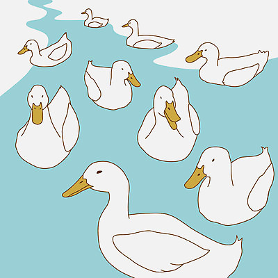 EPS 동물 문양 백그라운드 무늬 패턴 여러마리 일러스트 오리 사람없음 흰색 국내일러스트 컬러 다수 조류 파일형식 벡터