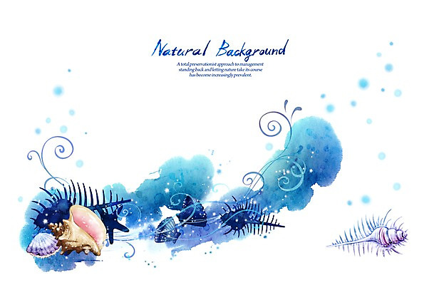 PSD 동물 실루엣 선 바다 백그라운드 일러스트 캘리그라피 자연 붓터치 조개 불가사리 어류 사람없음 파란색 소라 가리비 내추럴 국내일러스트 컬러 어패류 극피동물 촬영기법 수중동물 생태계 파일형식