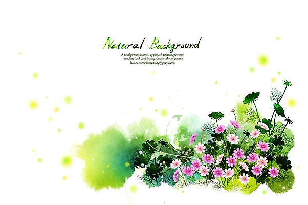 PSD 식물 꽃 실루엣 선 분홍색 백그라운드 일러스트 캘리그라피 자연 붓터치 사람없음 가을 코스모스 내추럴 가을배경 국내일러스트 계절 컬러 촬영기법 생태계 파일형식 가을_계절