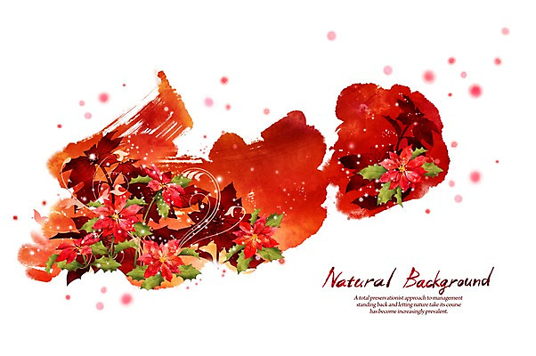 PSD 식물 꽃 실루엣 선 백그라운드 일러스트 캘리그라피 자연 붓터치 사람없음 빨간색 포인세티아 내추럴 국내일러스트 컬러 촬영기법 생태계 파일형식