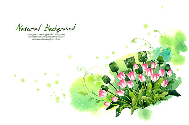 PSD 식물 꽃 실루엣 선 분홍색 백그라운드 잎 일러스트 캘리그라피 자연 붓터치 사람없음 초록색 튤립 내추럴 국내일러스트 컬러 촬영기법 생태계 파일형식