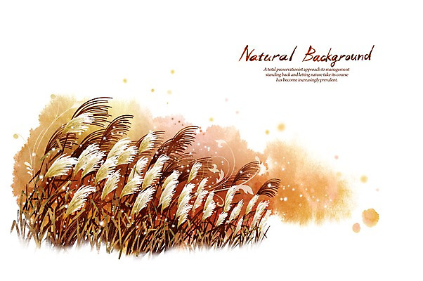 PSD 식물 실루엣 선 백그라운드 낙엽 일러스트 캘리그라피 자연 붓터치 갈대 사람없음 가을풍경 가을 갈대밭 내추럴 가을배경 국내일러스트 계절 잎 촬영기법 풍경 생태계 파일형식 가을_계절 갈대_식물