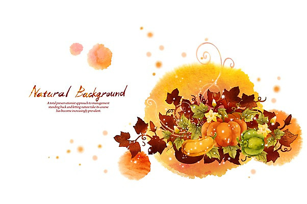 PSD 식물 실루엣 선 백그라운드 채소 일러스트 캘리그라피 자연 호박 붓터치 풍경 사람없음 주황색 가을 덩굴 추수감사절 내추럴 호박꽃 가을배경 국내일러스트 계절 꽃 기독교 컬러 촬영기법 생태계 파일형식 가을_계절