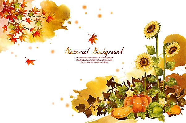 PSD 식물 꽃 실루엣 선 백그라운드 단풍 낙엽 잎 채소 일러스트 캘리그라피 자연 호박 붓터치 나뭇잎 해바라기 사람없음 가을풍경 가을 덩굴 내추럴 가을배경 국내일러스트 계절 촬영기법 풍경 생태계 파일형식 가을_계절