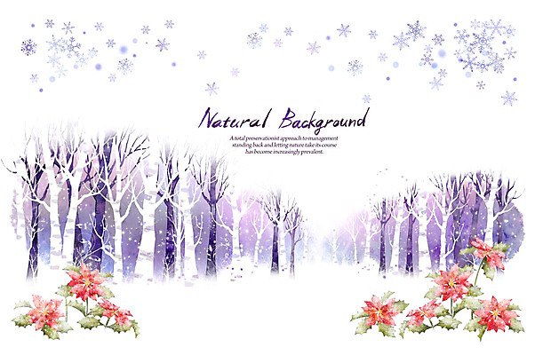 PSD 나무 식물 꽃 실루엣 선 백그라운드 겨울 일러스트 캘리그라피 자연 붓터치 눈꽃 풍경 사람없음 빨간색 설원 눈 숲 눈보라 포인세티아 내추럴 겨울배경 국내일러스트 자연요소 계절 컬러 날씨 눈_날씨 촬영기법 생태계 파일형식