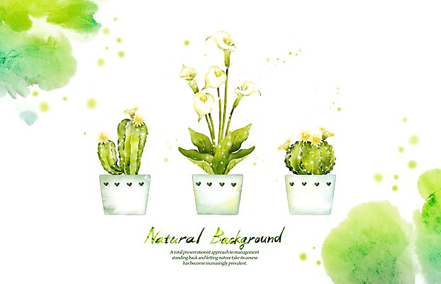 PSD 식물 꽃 화분 선 백그라운드 일러스트 캘리그라피 자연 붓터치 선인장 사람없음 연두색 흰색 카라 내추럴 국내일러스트 컬러 초록색 생태계 파일형식
