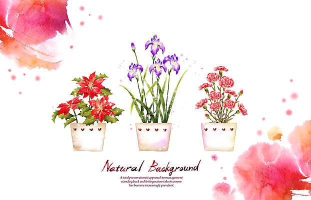 PSD 식물 꽃 화분 선 백그라운드 일러스트 캘리그라피 자연 붓터치 사람없음 빨간색 보라색 카네이션 포인세티아 내추럴 창포꽃 국내일러스트 컬러 생태계 파일형식