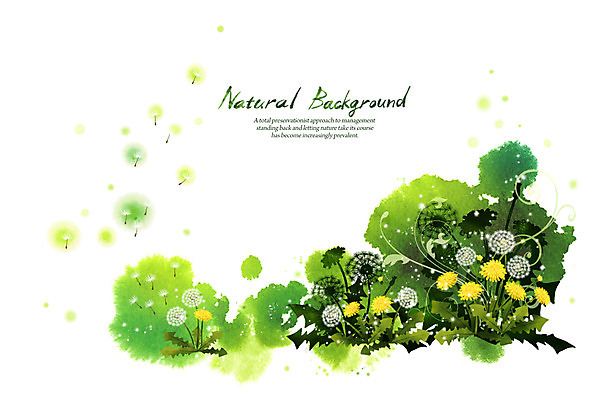 PSD 식물 꽃 실루엣 선 백그라운드 잎 일러스트 캘리그라피 자연 붓터치 사람없음 초록색 노란색 민들레 민들레홀씨 내추럴 국내일러스트 컬러 촬영기법 생태계 파일형식