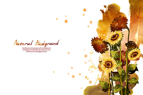 PSD 식물 꽃 실루엣 선 줄기 백그라운드 잎 일러스트 캘리그라피 자연 붓터치 해바라기 사람없음 덩굴 내추럴 국내일러스트 촬영기법 생태계 파일형식