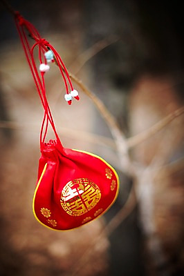 포토 JPG 한국전통 명절 새해 복주머니 전통소품 사람없음 야외 빨간색 한개 나뭇가지 오브젝트 국내포토 나무 1 전통 기념일 컬러 한국 파일형식