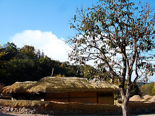 포토 JPG 주간 한국문화 한국전통 전통 시설물 건축 고건축 한국 초가집 사람없음 야외 동양건축 과거 국내포토 자연요소 동양문화 건축물 아시아 컨셉 한옥 파일형식 동양