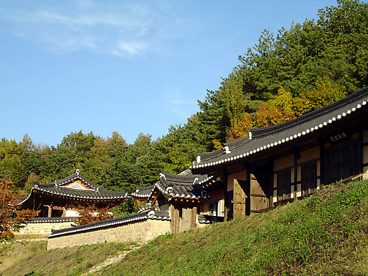포토 주간 나무 식물 한국문화 한국전통 전통 건축물 건축 전통문화 고건축 한국건축 하늘 지붕 한옥 주택 한국 기와 기와집 사람없음 야외 건물 동양건축 과거 국내포토 자연요소 동양문화 아시아 문화 컨셉 파일형식 동양