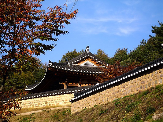 포토 주간 나무 식물 한국문화 한국전통 전통 건축물 건축 전통문화 고건축 한국건축 하늘 지붕 한옥 주택 한국 기와 기와집 사람없음 야외 건물 동양건축 과거 국내포토 자연요소 동양문화 아시아 문화 컨셉 파일형식 동양