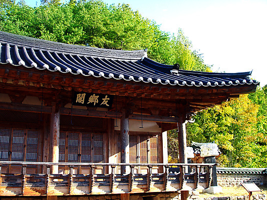 포토 주간 나무 식물 한국문화 한국전통 전통 건축물 건축 전통문화 고건축 한국건축 하늘 지붕 한옥 주택 한국 기와 기와집 사람없음 야외 건물 동양건축 과거 국내포토 자연요소 동양문화 아시아 문화 컨셉 파일형식 동양
