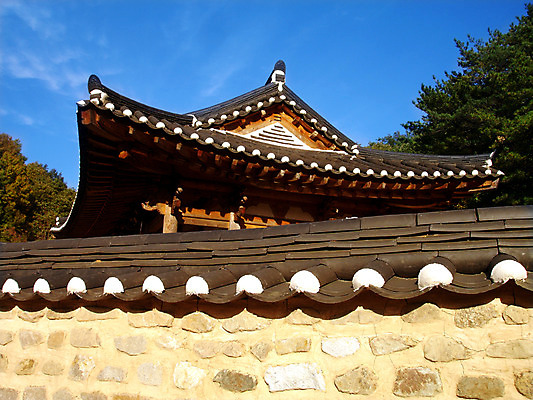 포토 주간 나무 식물 한국문화 한국전통 전통 건축물 건축 전통문화 고건축 한국건축 하늘 지붕 한옥 주택 한국 기와 기와집 풍경 사람없음 야외 건물 담장 동양건축 과거 국내포토 자연요소 동양문화 아시아 문화 컨셉 파일형식 동양