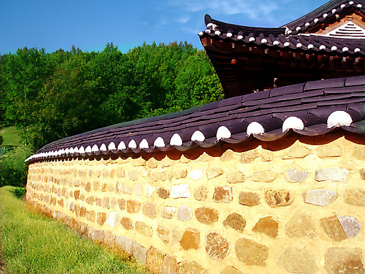 포토 주간 나무 식물 한국문화 한국전통 전통 건축물 건축 전통문화 고건축 한국건축 하늘 지붕 한옥 주택 한국 기와 기와집 풍경 사람없음 야외 건물 담장 동양건축 과거 국내포토 자연요소 동양문화 아시아 문화 컨셉 파일형식 동양