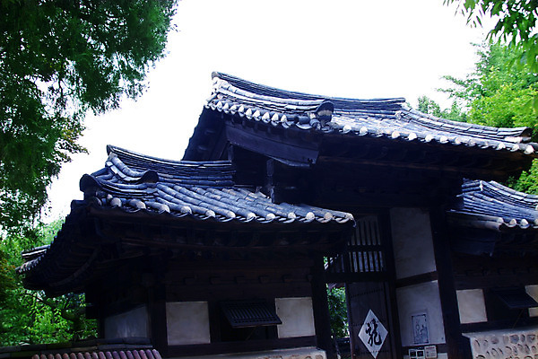 포토 주간 나무 식물 한국문화 한국전통 전통 건축물 건축 전통문화 고건축 한국건축 하늘 지붕 한옥 주택 한국 기와 기와집 사람없음 야외 건물 동양건축 과거 국내포토 자연요소 동양문화 아시아 문화 컨셉 파일형식 동양