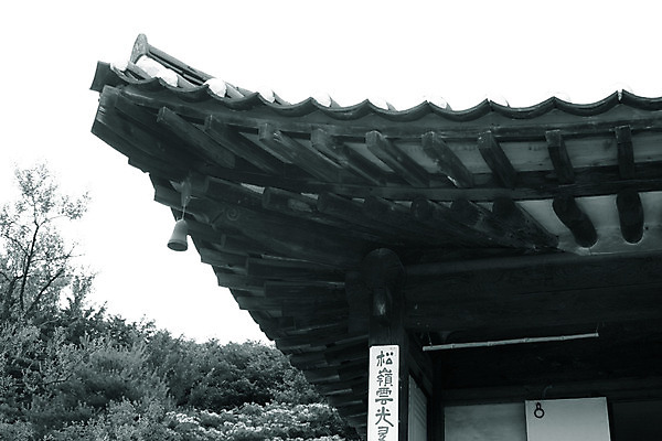 포토 주간 나무 식물 한국문화 한국전통 전통 건축물 건축 전통문화 고건축 한국건축 하늘 지붕 한옥 주택 한국 기와 기와집 사람없음 야외 건물 동양건축 과거 국내포토 자연요소 동양문화 아시아 문화 컨셉 파일형식 동양