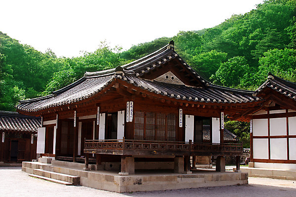 포토 주간 나무 식물 한국문화 한국전통 전통 건축물 건축 전통문화 고건축 한국건축 하늘 지붕 한옥 주택 한국 기와 기와집 사람없음 야외 건물 동양건축 과거 국내포토 자연요소 동양문화 아시아 문화 컨셉 파일형식 동양